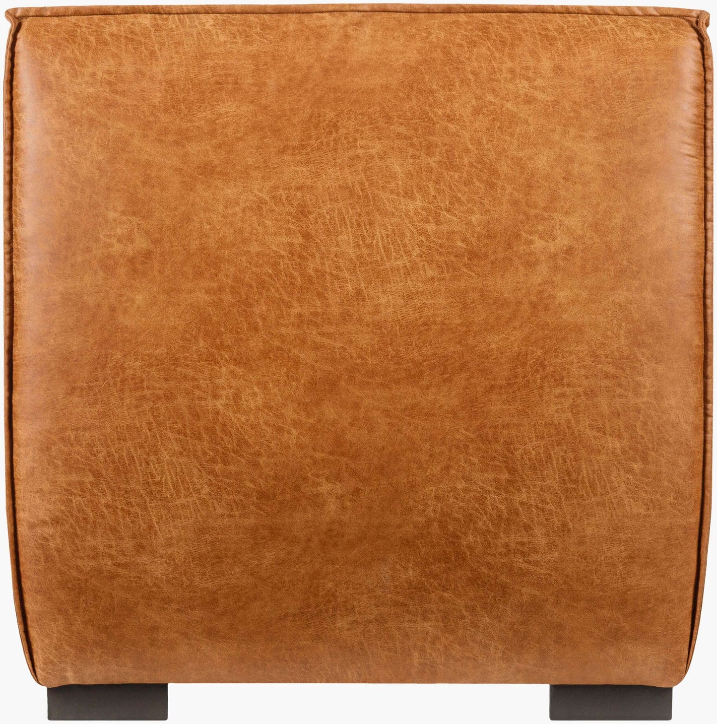 Belfort BFT-003 37"H x 35"W x 39"D Accent Chair - back view