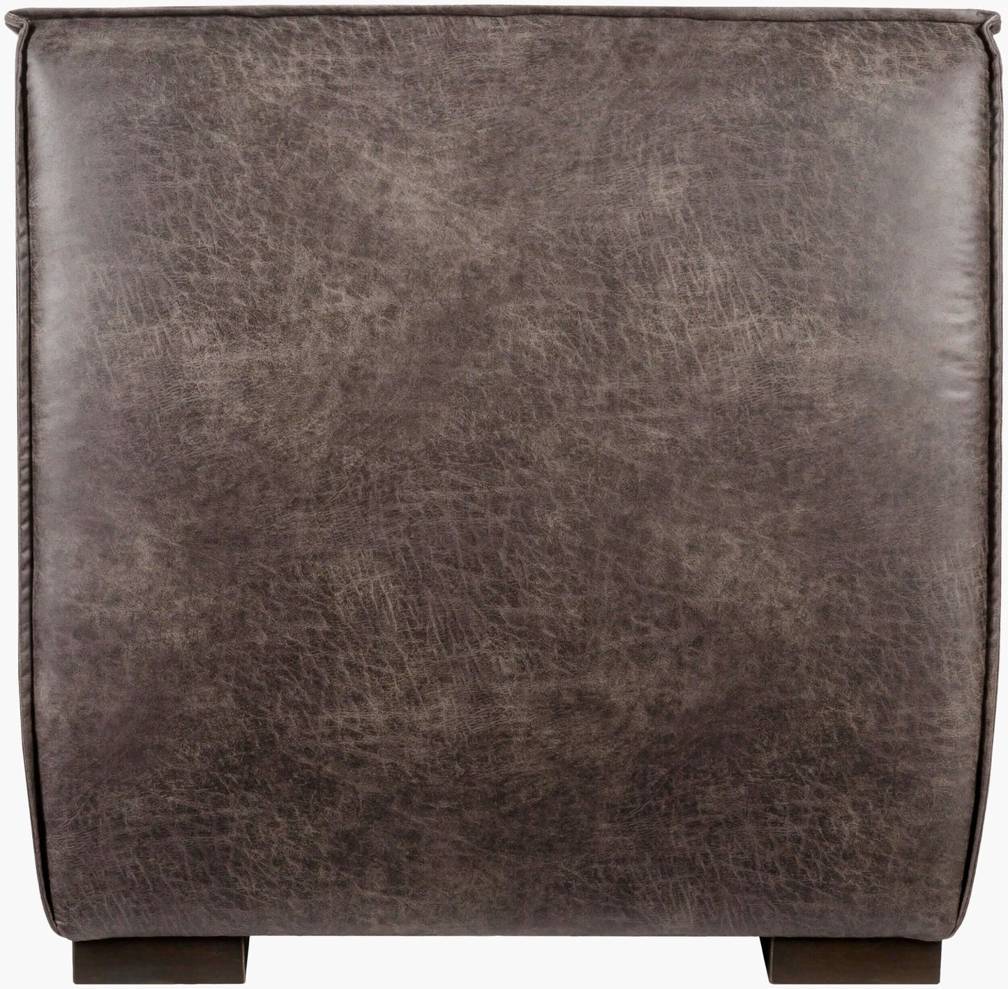 Belfort BFT-004 37"H x 35"W x 39"D Accent Chair - back view