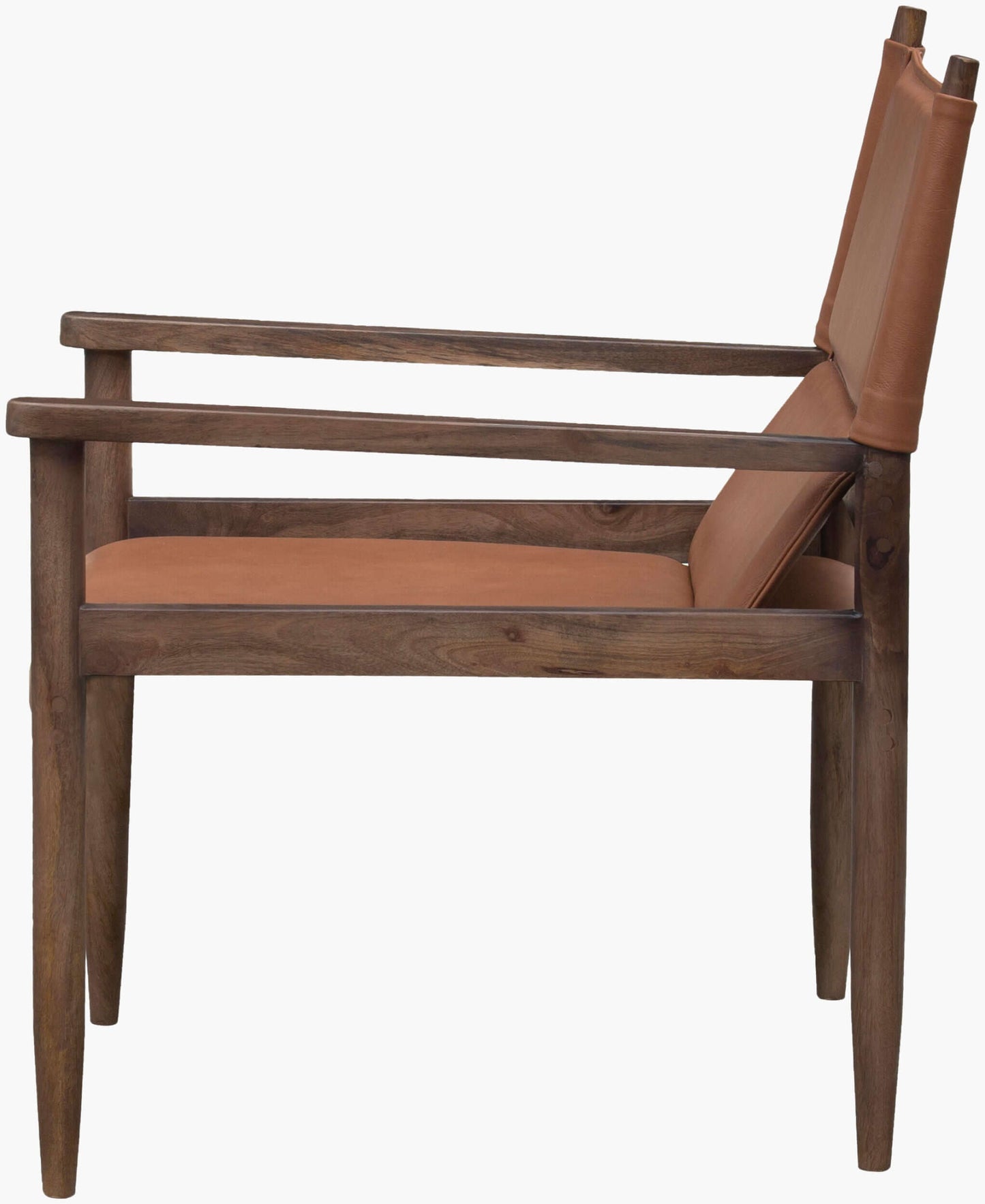 Chole CHOL-001 34"H x 26"W x 29"D Accent Chair - side view