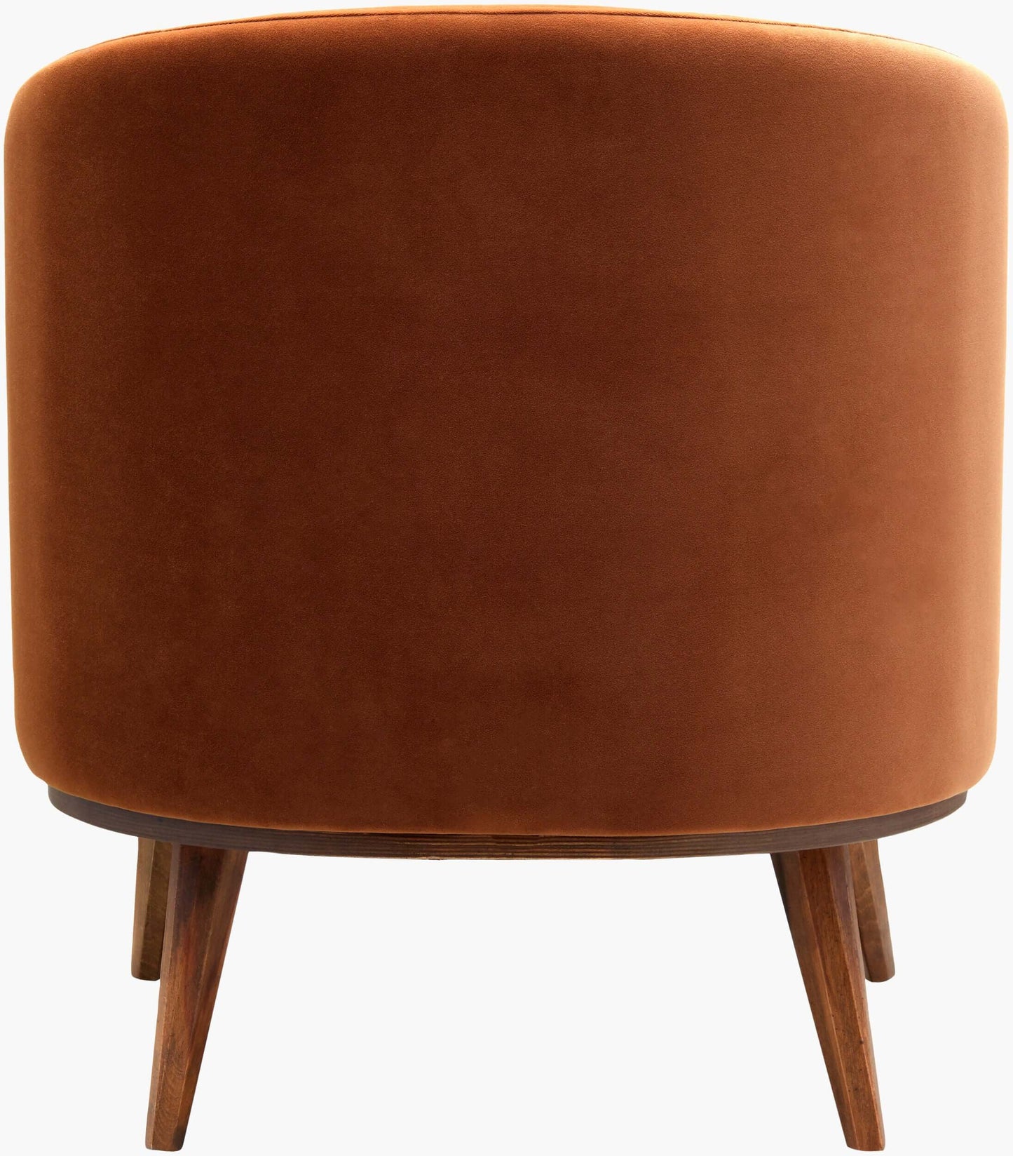 Megan MEGN-001 30"H x 28"W x 28"D Accent Chair- back view