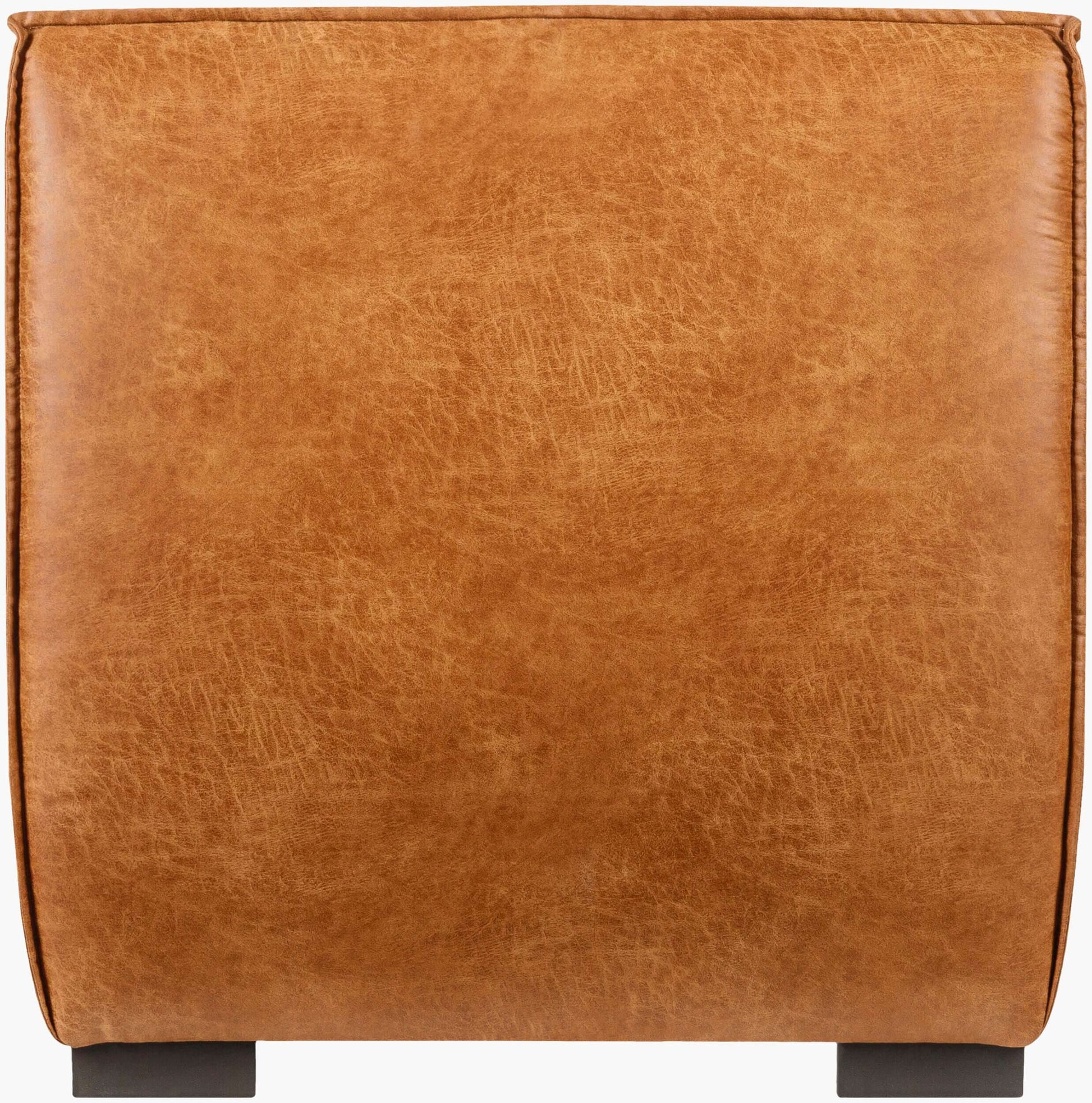 Belfort BFT-003 37"H x 35"W x 39"D Accent Chair - back view 