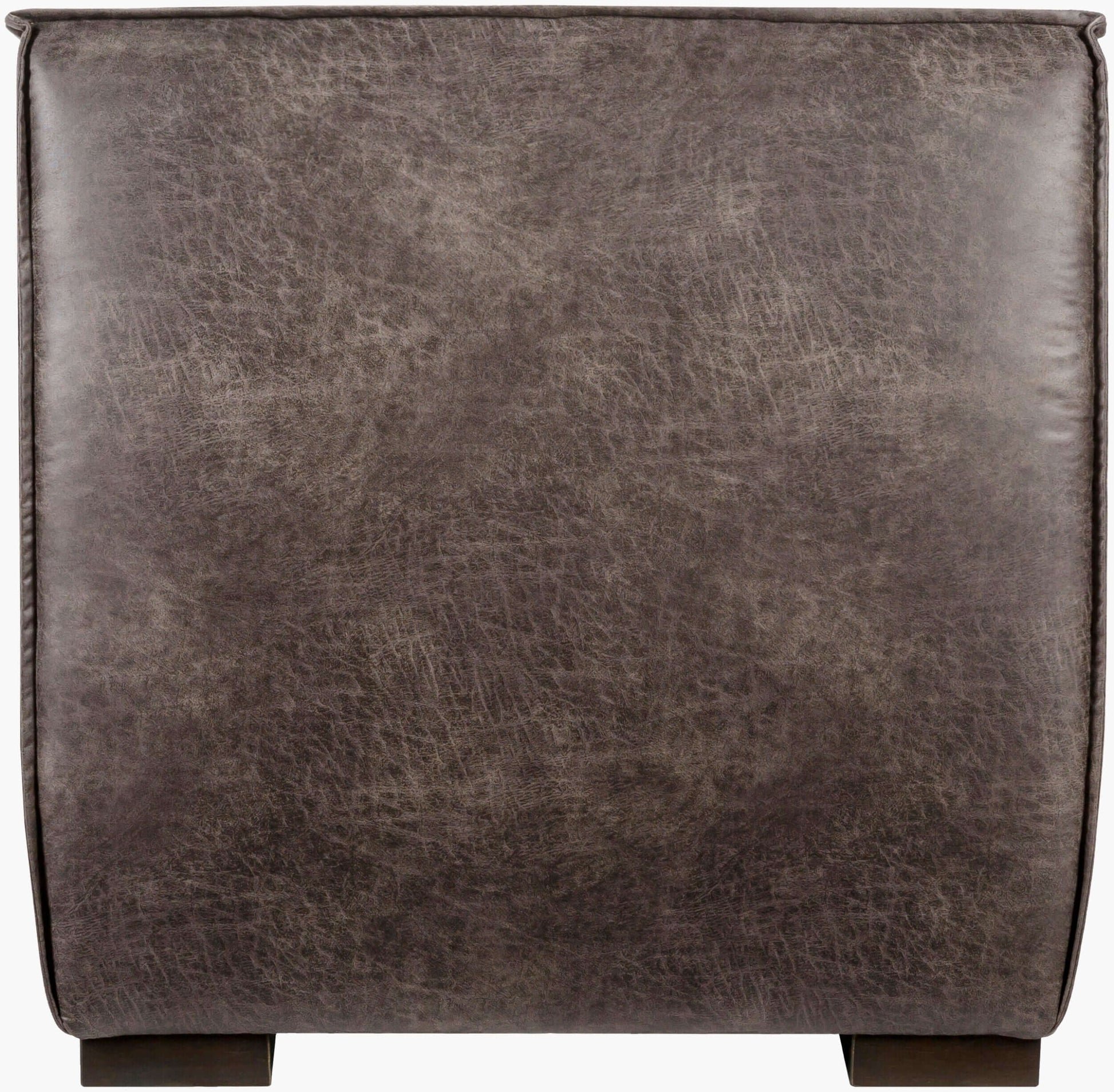 Belfort BFT-004 37"H x 35"W x 39"D Accent Chair - back view 