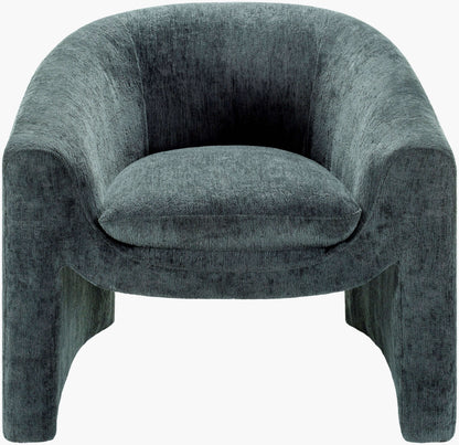 Cascadia CASD-002 28"H x 31"W x 31"D Accent Chair - front view